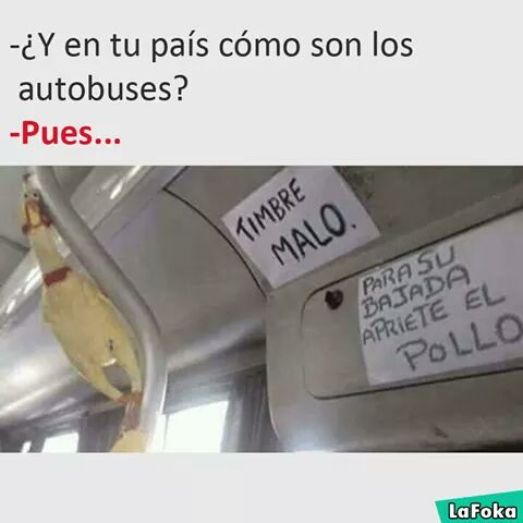 Tereempera's tweet photo. @pollobrito  agarra tu camionetica en la parada porfavor voy paya!! Jajaja mi querido  pollo pa ti https://t.co/ssIXoyYJoU