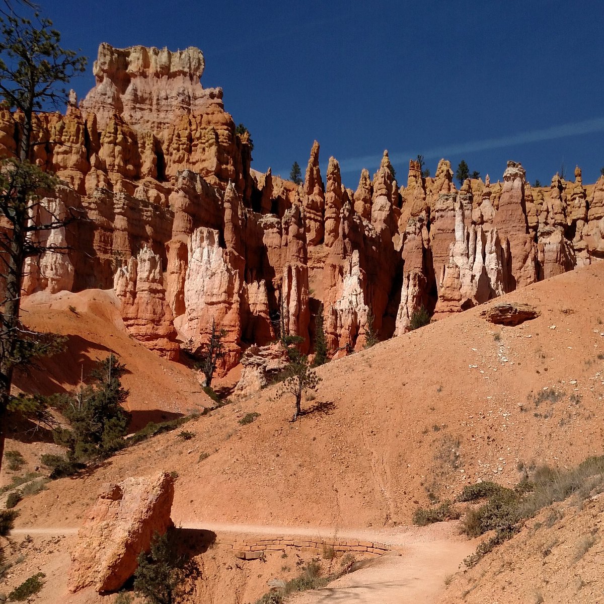 outdoortravella's tweet photo. One of the many #trails in Bryce Canyon. #nofilter #utah #hikeutah #redrocks #utahfive #brycecanyon #optoutside #neverstopexploring https://t.co/vZEwYOthmC