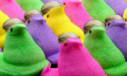CadburyTrump's tweet photo. @ChelseaClinton @MerriamWebster What is a #Trump Peep called? The key to explosive economic growth via confectioner industry! #TrumpTrain https://t.co/qeZvwmyzfL