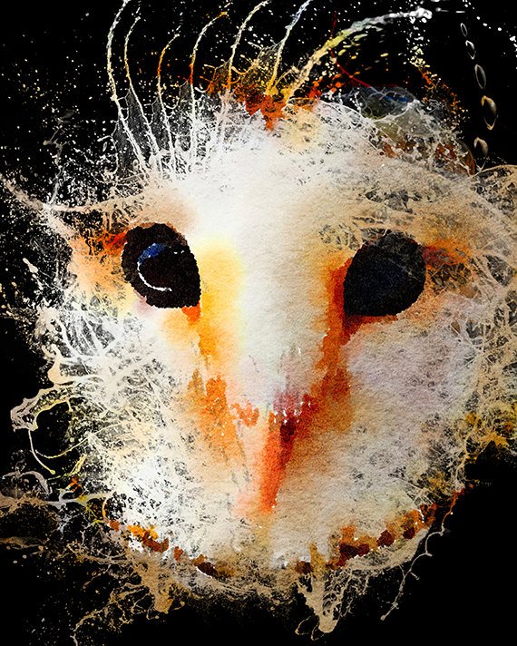 Barn Owl Wall art, digital download, unique Barn Owl nature print, Instant… tuppu.net/cdc5ecb7 #art #BarnOwlArt