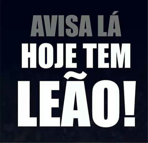 LeoasAzulinas's tweet photo. Esperamos por vocês no Mangueirão! #ClubedoRemo #LeoasAzulinas #RExPAz https://t.co/Pteyxft0wa