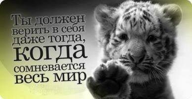 tgridas's tweet photo. Только сейчас приходит осознание того, что мы сами строим свою судьбу и всё возможно, если очень захотеть и делать 😉 https://t.co/KzWqZTml3w