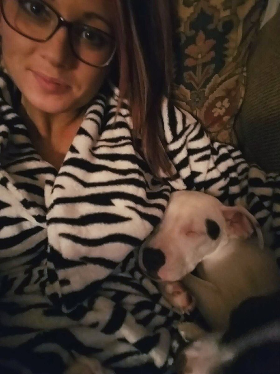 williamson92913's tweet photo. Snuggle time with this babe 🐕😍💤 #pitbullmom #puppiesofinstagram #motherdaughter #brindlebaby #whitepit https://t.co/g1ONLsJbvP