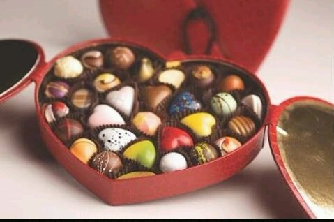HRP_ROSE97's tweet photo. @HRP_Ent @HRP_Vernon98 HEY bule ayo kita kenal lebih dekat. #HRPvalantine https://t.co/60nrlk7ZxS