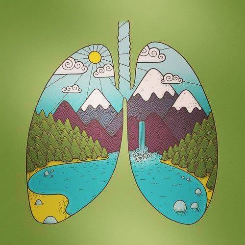 _SaifShaikh's tweet image. Breath is life.We should pay as much attention to it as any other aspect of being.
–Swami Nostradamus Virato
#Breathework #WHM #DownRegulate