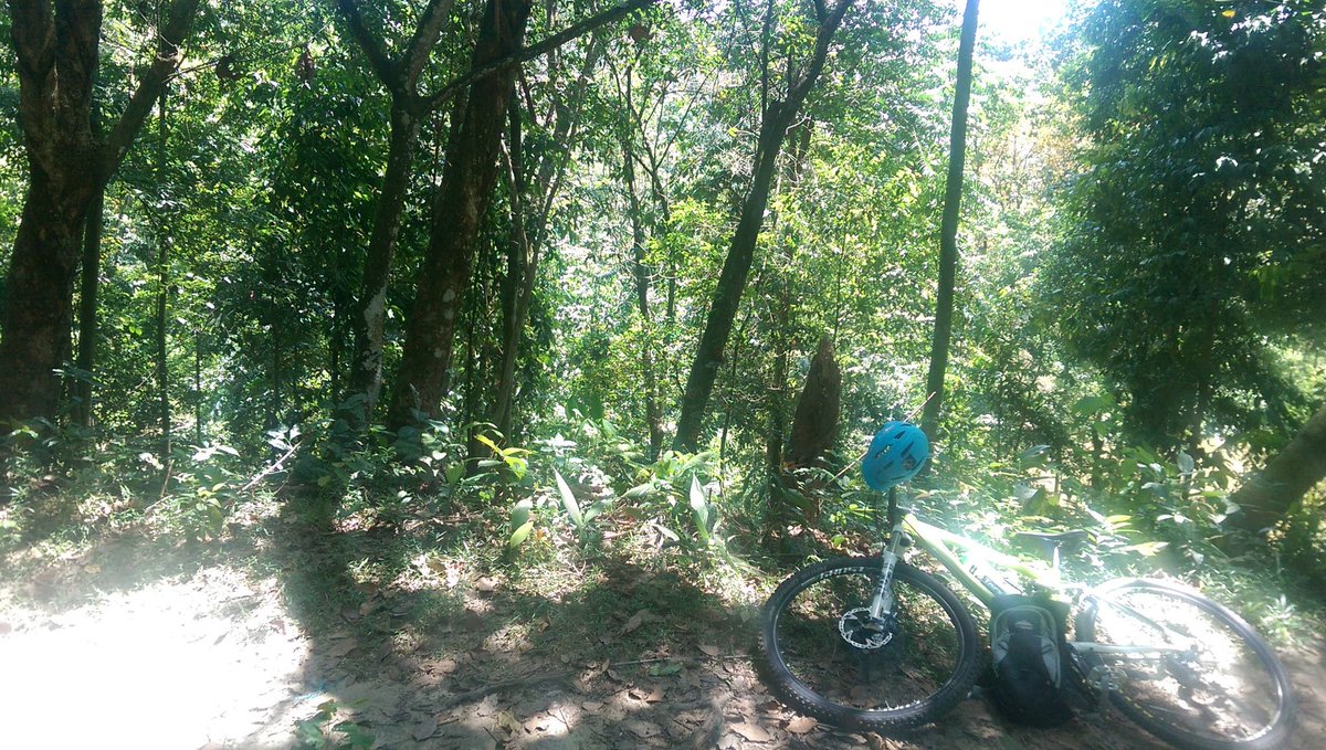 jaredwlk's tweet photo. Best thing about mountain biking? Losing yourself in the wild. No seriously. I am literally lost. HELP https://t.co/Nj4TOe47iM