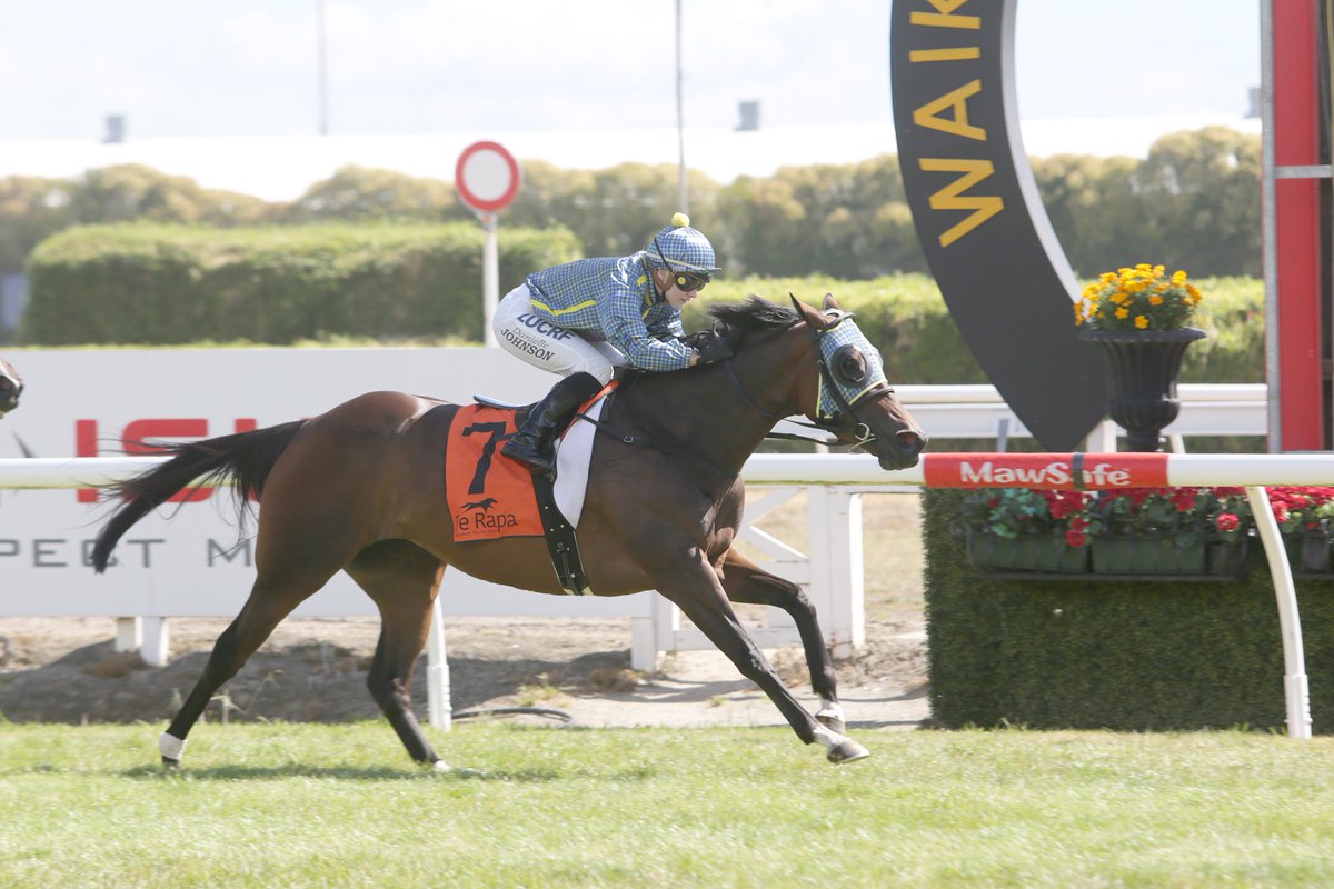 nzracingnews's tweet photo. The luckless #RomanticMaid finally got all her ducks in a row at @TeRapaRacing this weekend https://t.co/b98t78xDeW https://t.co/g2Uw3Mb5Im