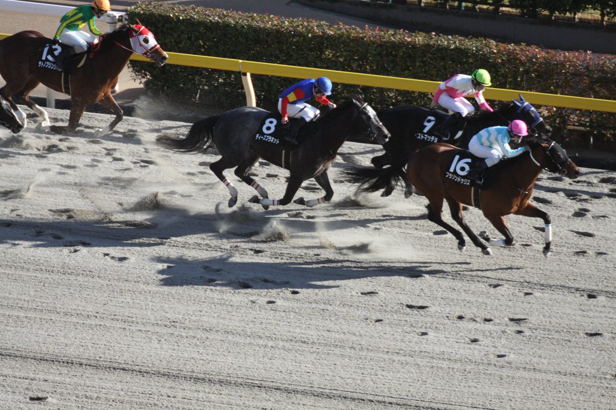 ラジオ日本「土曜・日曜競馬実況中継」 (keiba1422) Twitter