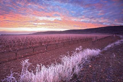 iberowine_es's tweet photo. Un viñedo de Campo de Borja en invierno, foto de la semana en Canon https://t.co/1PTqtDsxIr