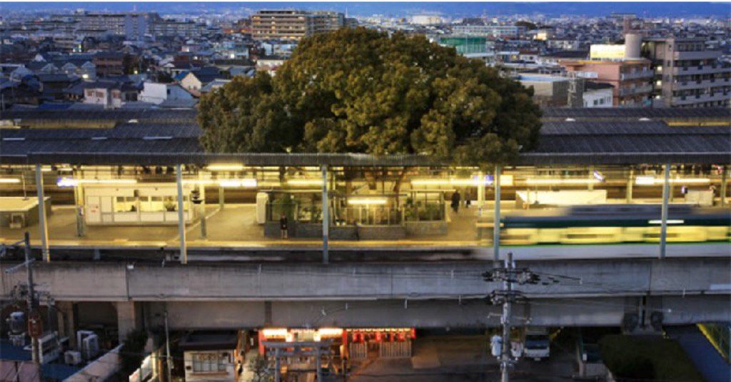 Superhuisvrouw's tweet photo. Waar een wil is, komt een station. Dan maar óm de 700 jaar oude boom heen #Kayashima #Japan https://t.co/3TFV2GyksA https://t.co/UHr9IRJpD9