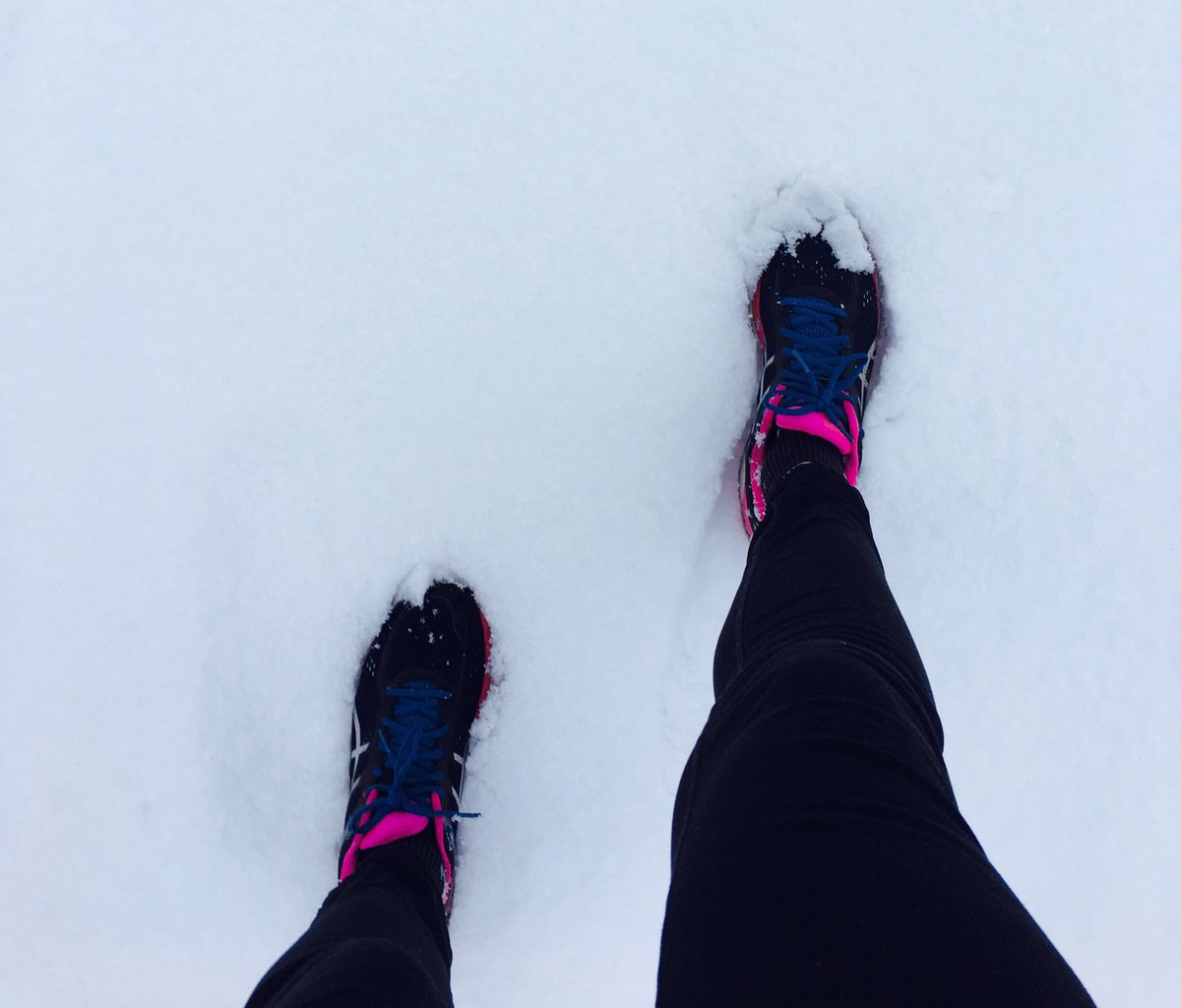 OomenPatricia's tweet photo. Zingt: 'Running through the snow' https://t.co/FGjfLbZQdT