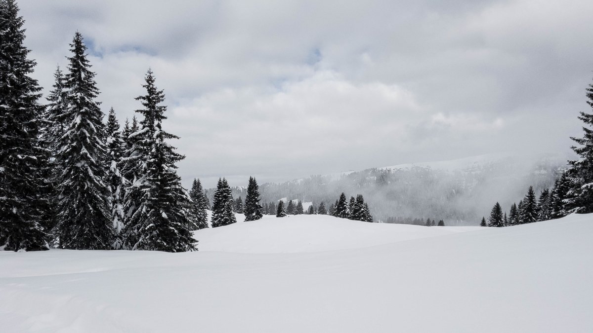 erling's tweet image. Passo Coe, dalla pista da fondo