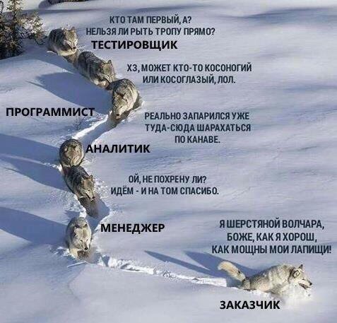 nicknixer's tweet image. #IT #программист #QA