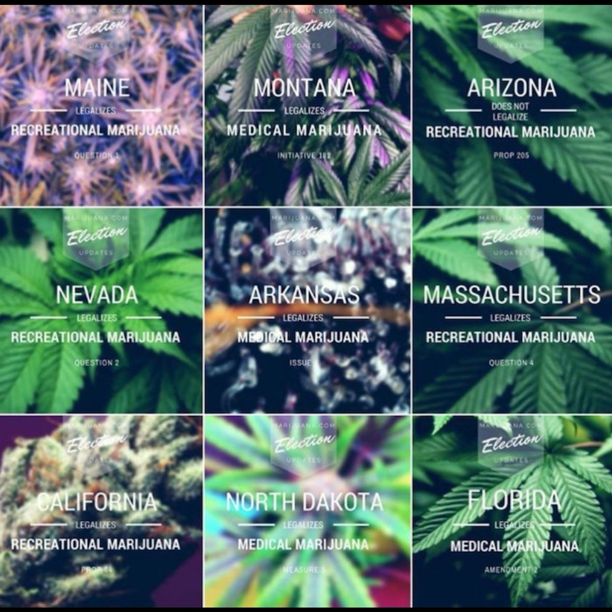 GasGrowers's tweet image. What's your states status? #weed #marijuana #cannabis #weed #dabs