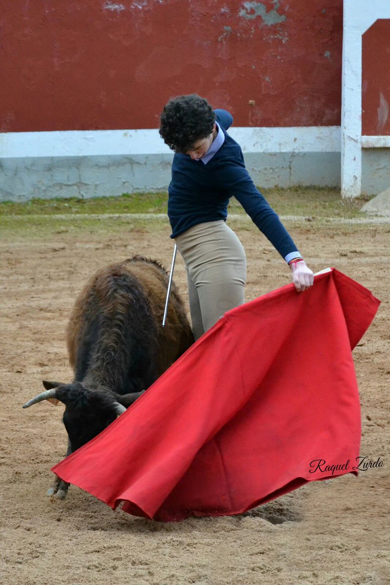 RaqiZurdo's tweet photo. Los tres salmantinos que actuaron ayer en el Bolsín Mirobrigense 2017 con vacas de Sepúlveda. Suerte a los 3 🍀 https://t.co/6WHyVX0B4v