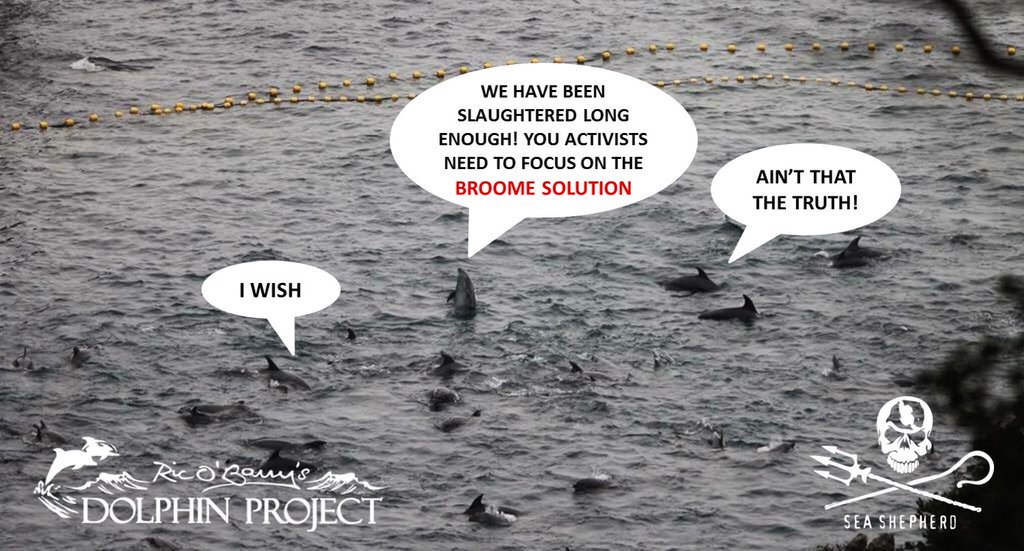 DugongTurtleAus's tweet photo. MESSAGE TO ACTIVISTS FROM TAIJI DOLPHINS...  #Broome/#Taiji  #TheBroomeSolution  #DolphinProject  #OpHenkaku  #OpKillingBay  #WApol  #AusPol https://t.co/OfGHEZRIr6