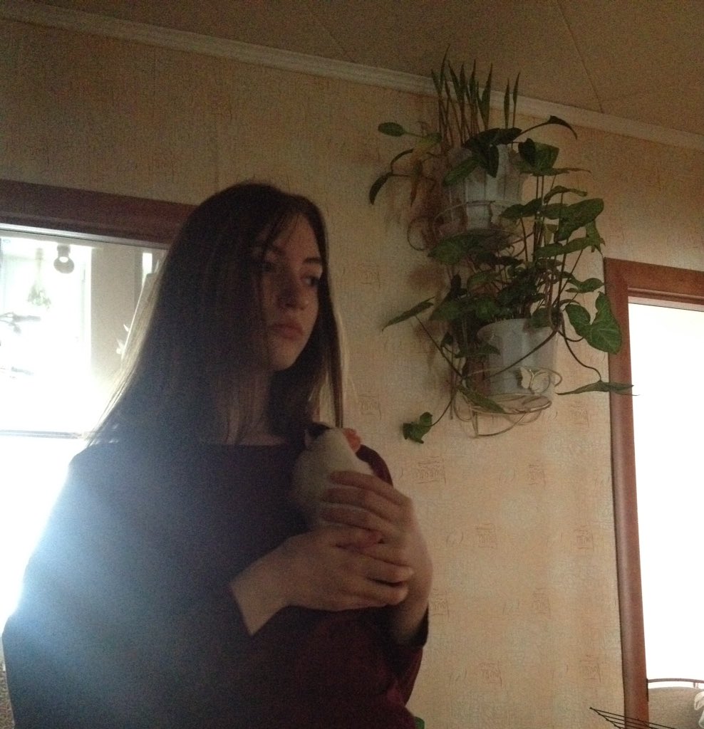 ханочк'а (@xanamars) on Twitter photo 