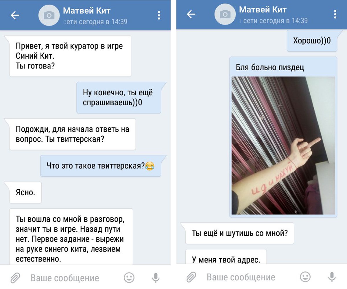 krismooo's tweet image. #тихийдом
#синийкит
Ребят, мне немного осталось :с
Твиттерские - сильный народ)