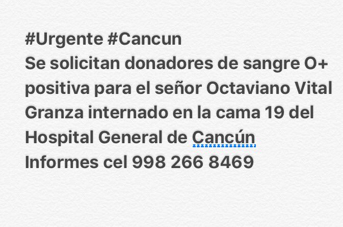 AngelCasas3's tweet photo. #Urgente #Cancun 
Se solicitan donadores de sangre O+ 
Info 998 266 8469 @VivoEnCancun https://t.co/20QEVUFAJ2