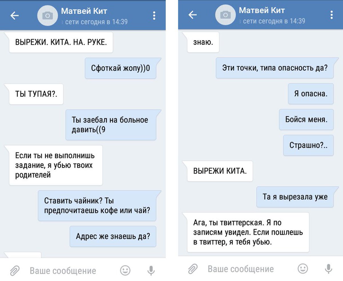 krismooo's tweet image. #тихийдом
#синийкит
Ребят, мне немного осталось :с
Твиттерские - сильный народ)