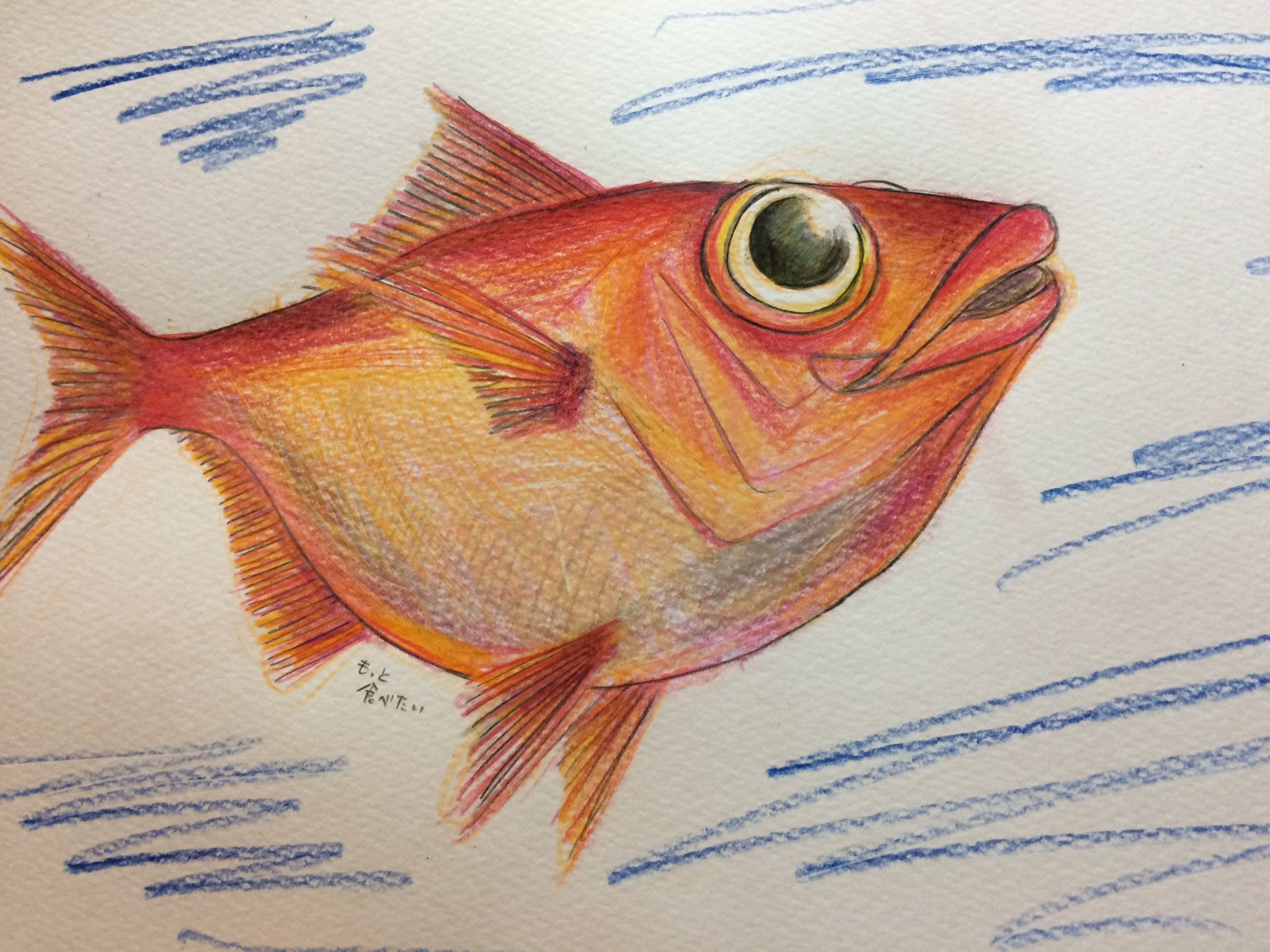 おいもとバイク Fishkanpai Twitter