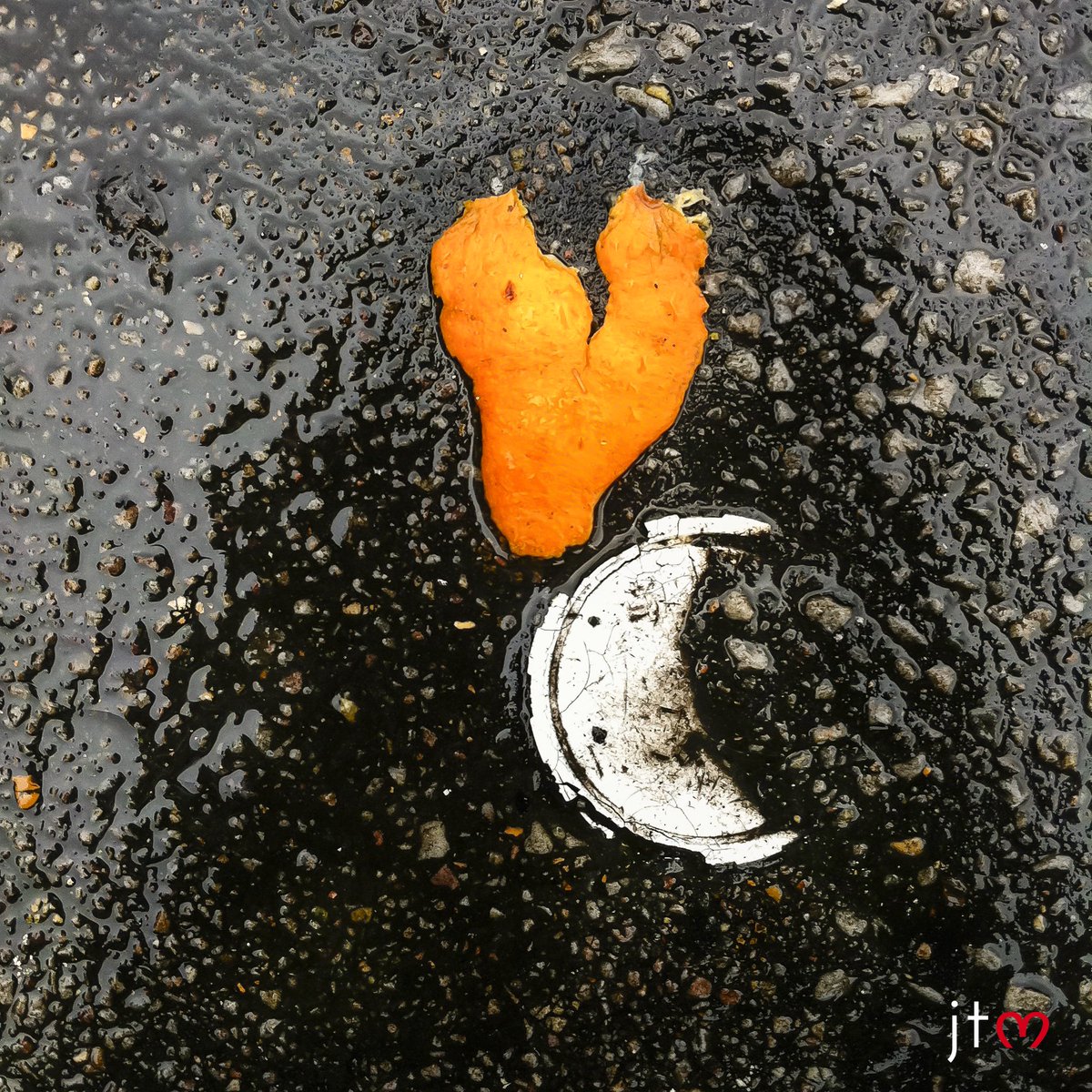 {La plus belle histoire d'amour - Jour 12} : "Je t'emmènerai sur la lune"
#saintvalentin #chasseursdecoeurs #coeur bit.ly/2k3K3LA