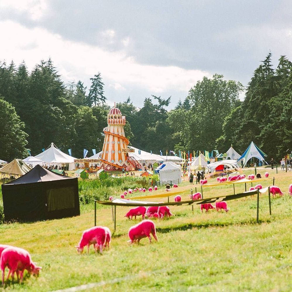 Festibl's tweet photo. Lazy Sunday morning dreaming of summer festival season!! 🎪☀️🎉 https://t.co/mDRXufx1Ad https://t.co/zE59vpsyEm