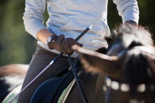 Tune into BBC One North West at 11.20am to see how the impact of business rates are affecting a riding centre in Cumbria