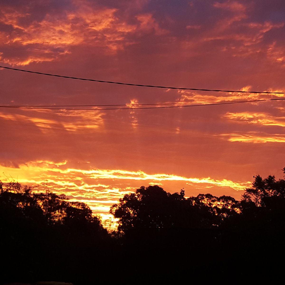 ChrisA1985's tweet photo. Cracking sunset https://t.co/mgAbUgncKP