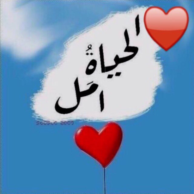 احمد خالد (@hhhdd77) on Twitter photo 