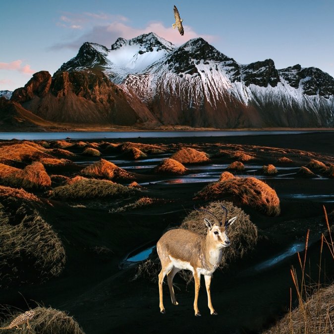 #DURDE insanın kendine yapmayacağı hiçbir şeyi başka bir canlıya yapamazsın.