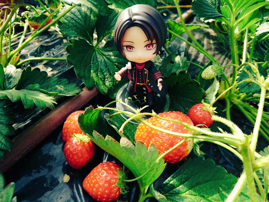sa8ga's tweet photo. 近侍が苺の妖精でしかなかった件など…🍓 https://t.co/yOwEGJrrmu