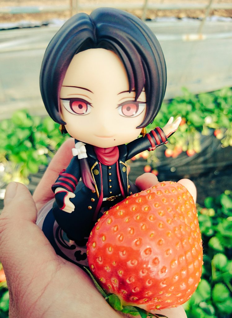 sa8ga's tweet photo. 近侍が苺の妖精でしかなかった件など…🍓 https://t.co/yOwEGJrrmu