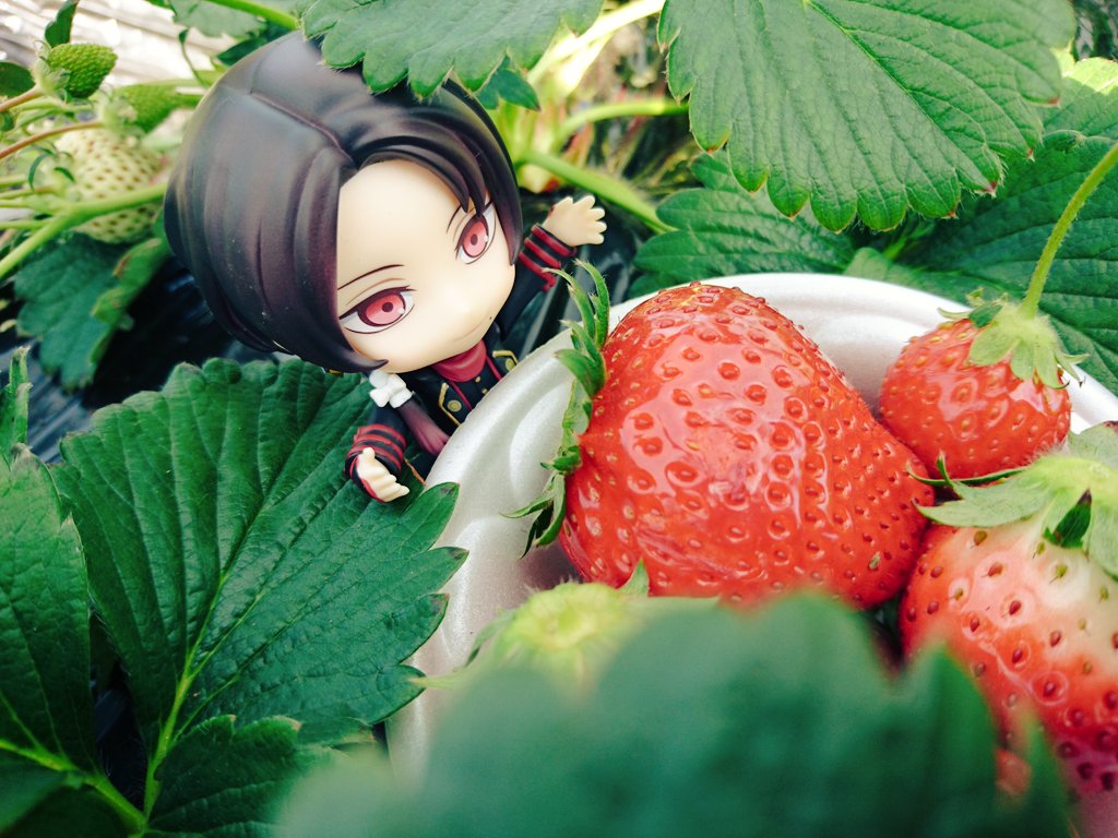 sa8ga's tweet photo. 近侍が苺の妖精でしかなかった件など…🍓 https://t.co/yOwEGJrrmu