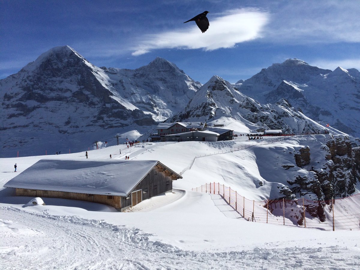 k_kathi's tweet photo. noch so ein herrlicher #schneetag! ;-) 
#grindelwald #eiger #mönch #jungfrau #sonne #schnee #todo #must #highlight https://t.co/AQTpCOrQi2