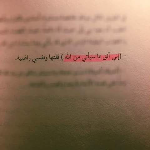 Amira kamal (@amarakamal2) on Twitter photo 