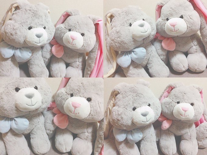 コストコのうさぎのぬいぐるみの値段は約2500円 大きさと可愛さで即買い トントンニュース