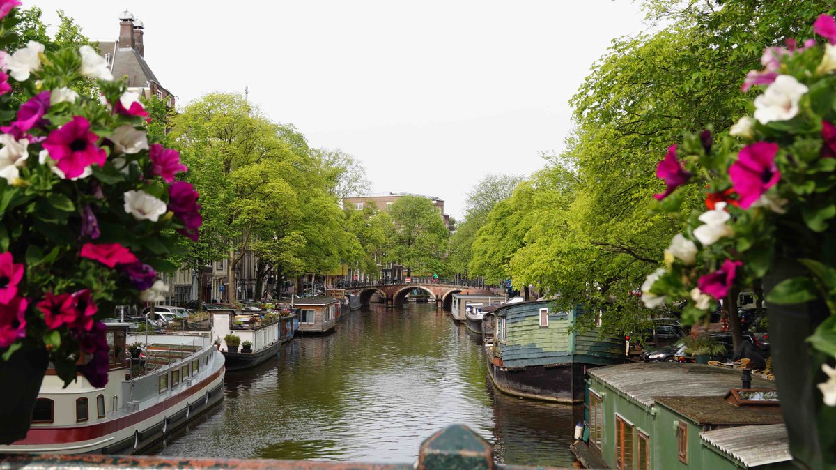 For more great pictures and news and events, follow AngloINFO Amsterdam here: bit.ly/2jjowNl