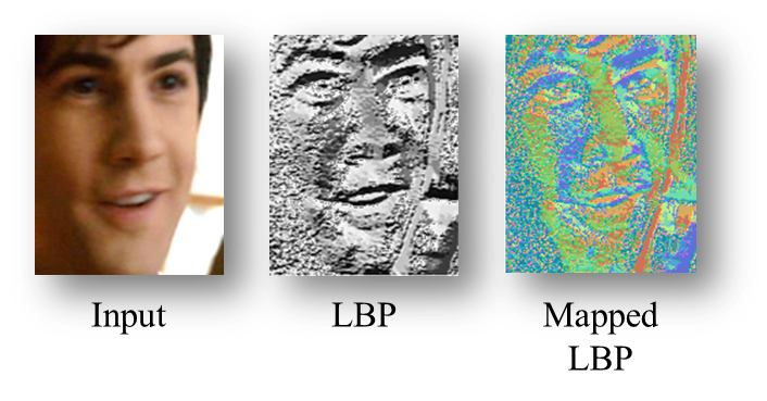 Emotion Recognition in the Wild via Convolutional Neural Networks and Mapped Binary Patterns buff.ly/2lkkToK