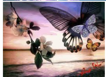 من اجيت 
زخت الدنيا فراشات وحدايق 
والعسل اصبح سبيل 
#دفئ_الفراشه_للدعم