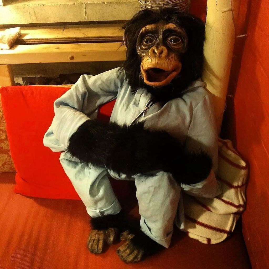 CelestialApe's tweet photo. Last chance to see Kolya and @CelestialApe at @vaultfestival tonight 6.10pm. It's going to… https://t.co/ktDc7LZXYW https://t.co/jSVFA2YnwU