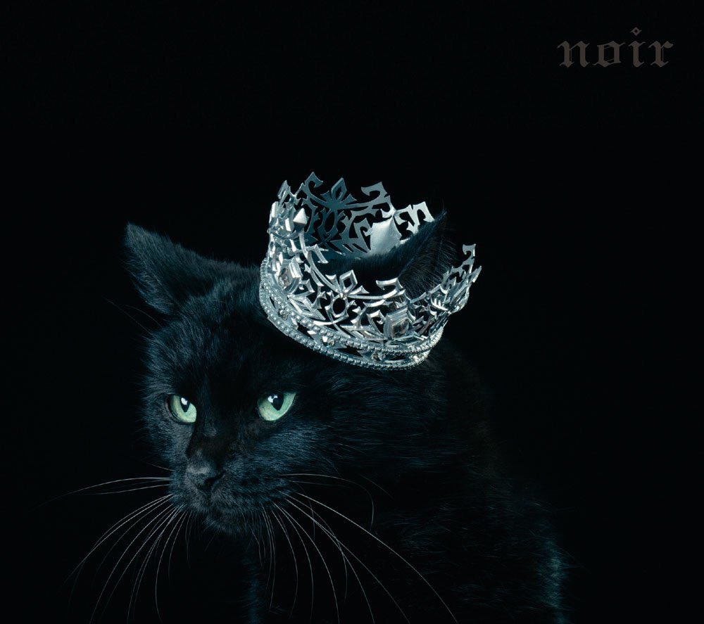 Aimer Staff わたくしaimer 5月3日に 初めてのベストアルバムをリリースすることになりました それぞれ異なるコンセプトで 白盤 Blanc 黒盤 Noir の2枚をリリースします ジャケットは 白猫と黒猫に飾ってもらいました ぜひ 楽しみにしてもらえ