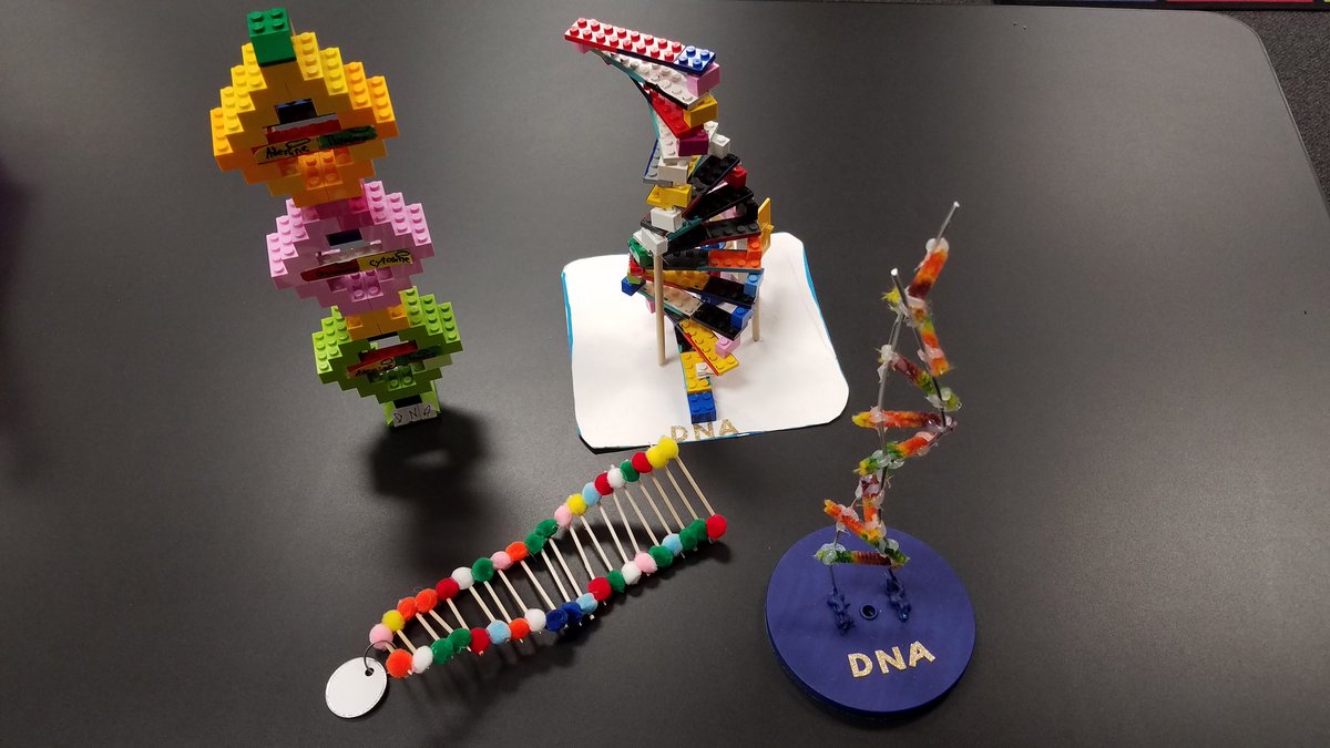 drholly56's tweet photo. #walkerlearns 5G scientists' cell and DNA projects on display in the hall...pretty cool! https://t.co/aRYxxs0nyE