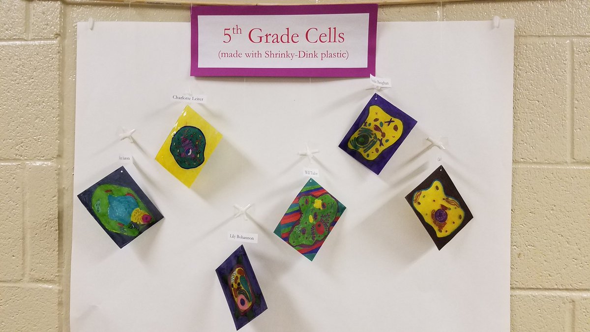 drholly56's tweet photo. #walkerlearns 5G scientists' cell and DNA projects on display in the hall...pretty cool! https://t.co/aRYxxs0nyE