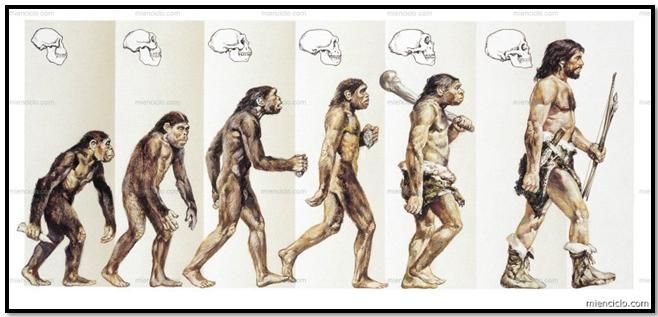 culturalresuena's tweet photo. Hoy se conmemora el #DarwinDay. ¿Qué os parece su teoría de la evolución de las especies, #resonadores? #Darwinday2017 https://t.co/IHnG4YnJEL