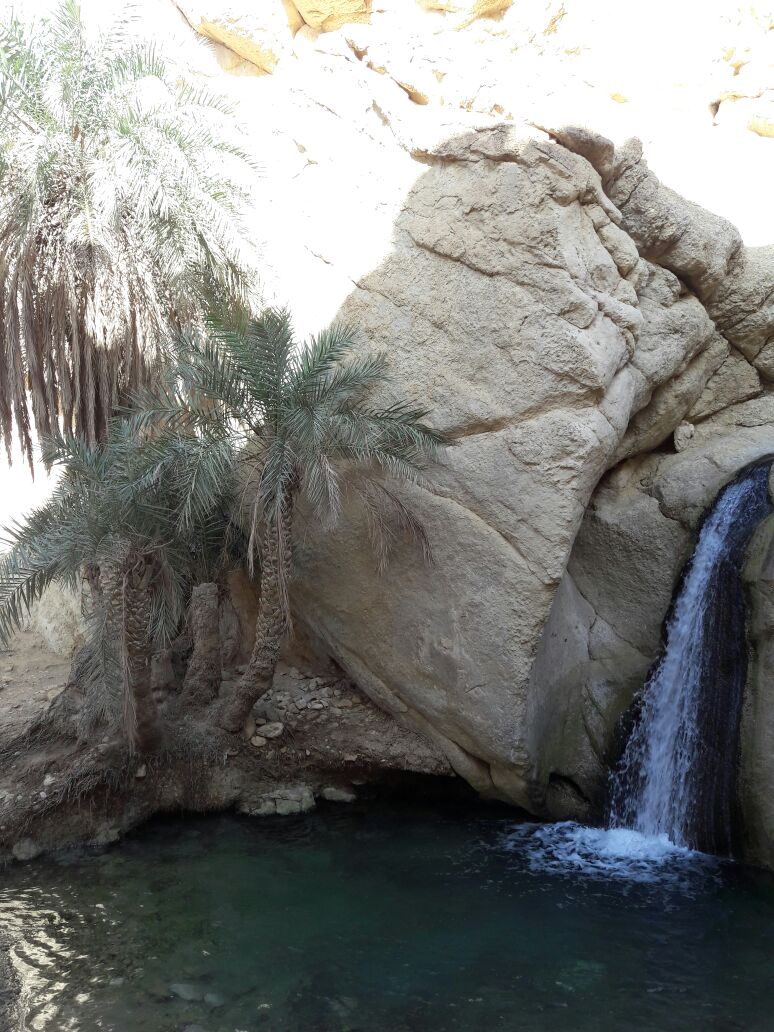 aliya_leeya's tweet photo. Apbila t'dpat oasis d tengah² padang Sahara:"Maka nikmat Tuhanmu yg mnakah yg kamu dustakan? "
#exploretunis https://t.co/s3YW7sWAX0
