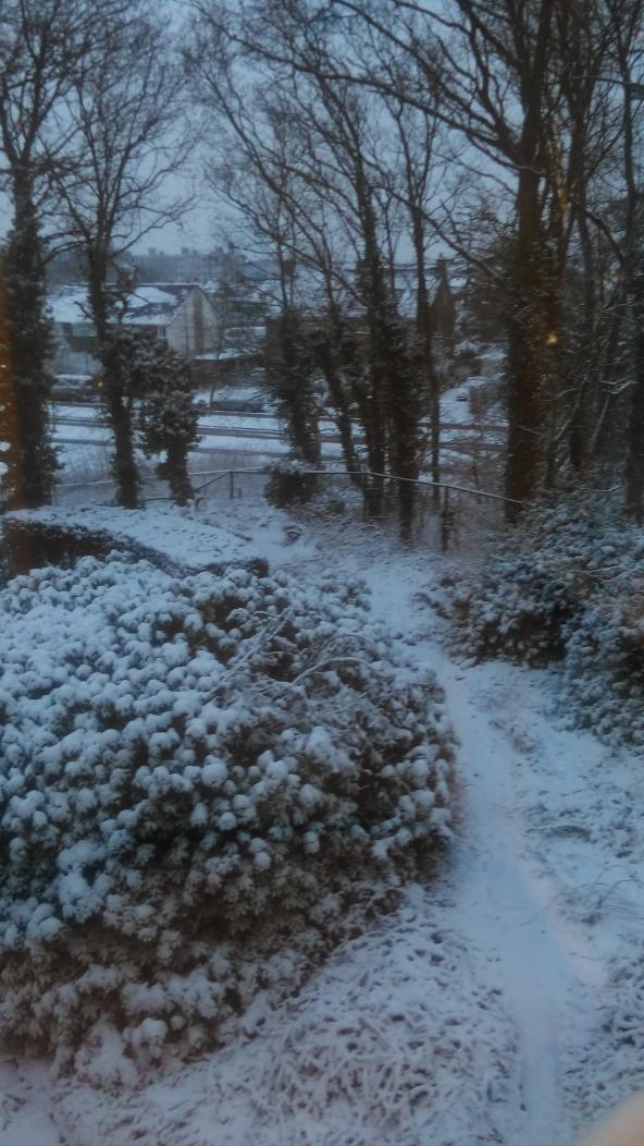 hsmit11's tweet image. Scheveningen