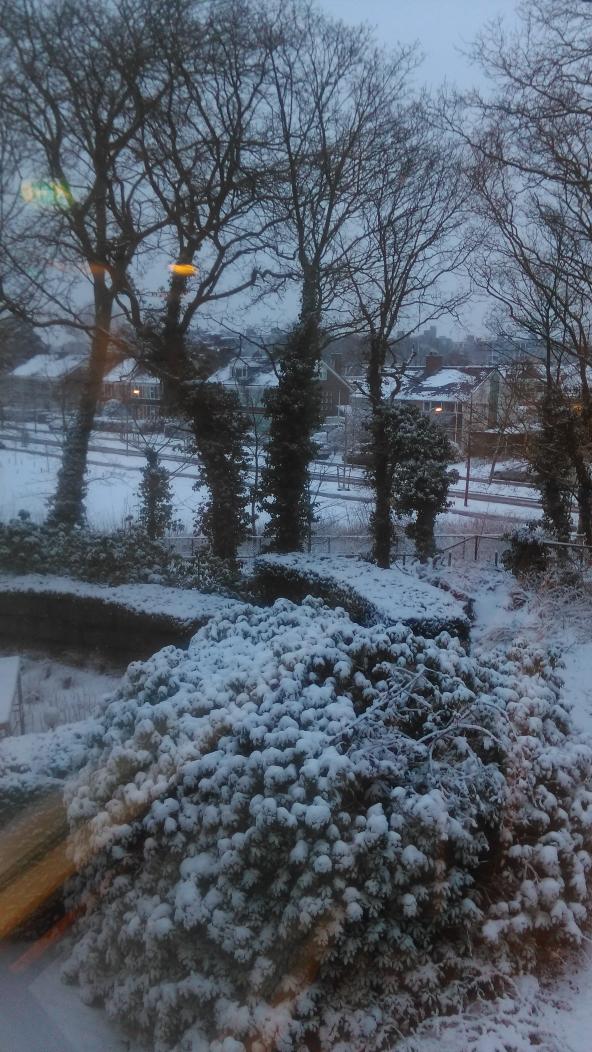 hsmit11's tweet image. Scheveningen