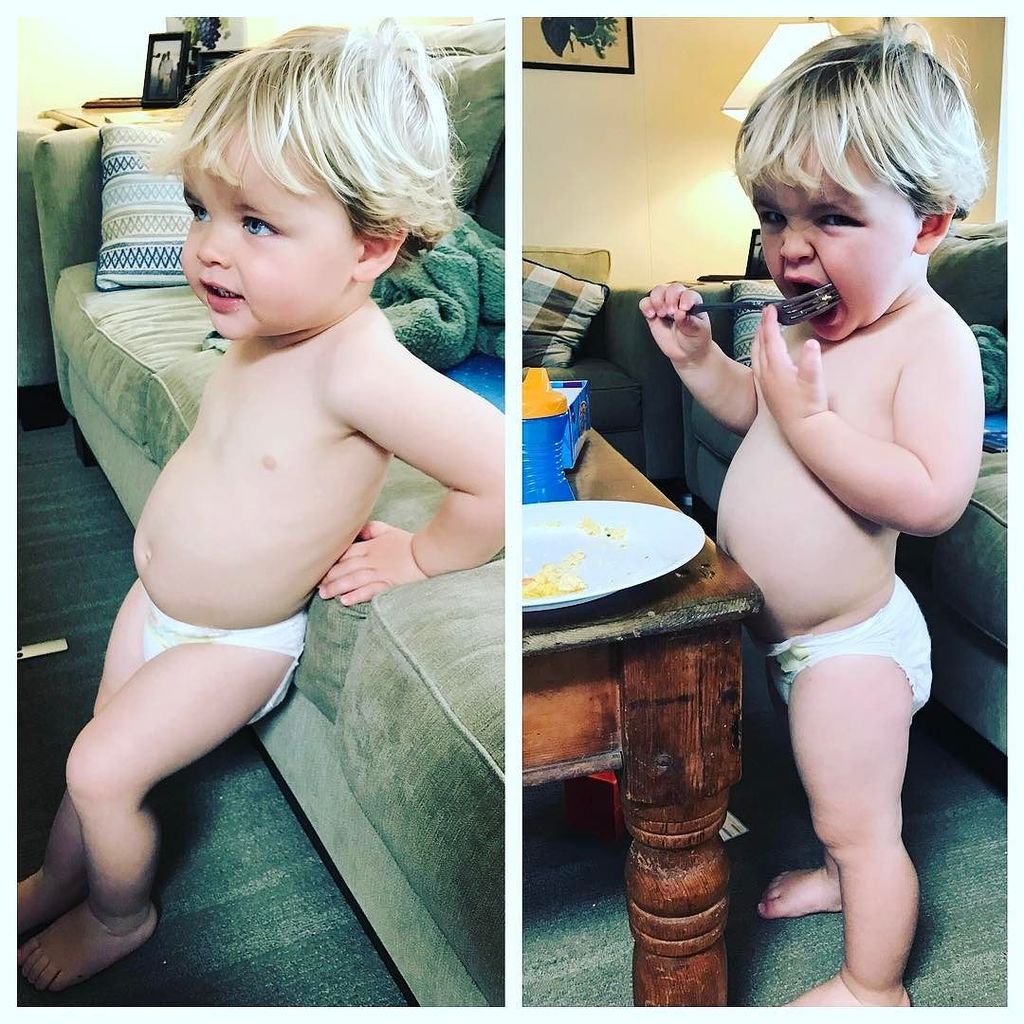 DaleMaffS's tweet photo. This little piggy ate 3x more breakfast than I did this morning #bellyfordays https://t.co/GE6VWJvuNv