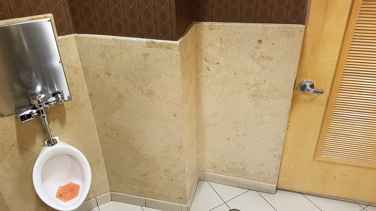 tlynnwrites's tweet photo. @AmericanAir Phx Admiral's Club by A20...one stall and one toilet at crazy busy club.  Use terminal restroom first! https://t.co/yAZvBBjW4E